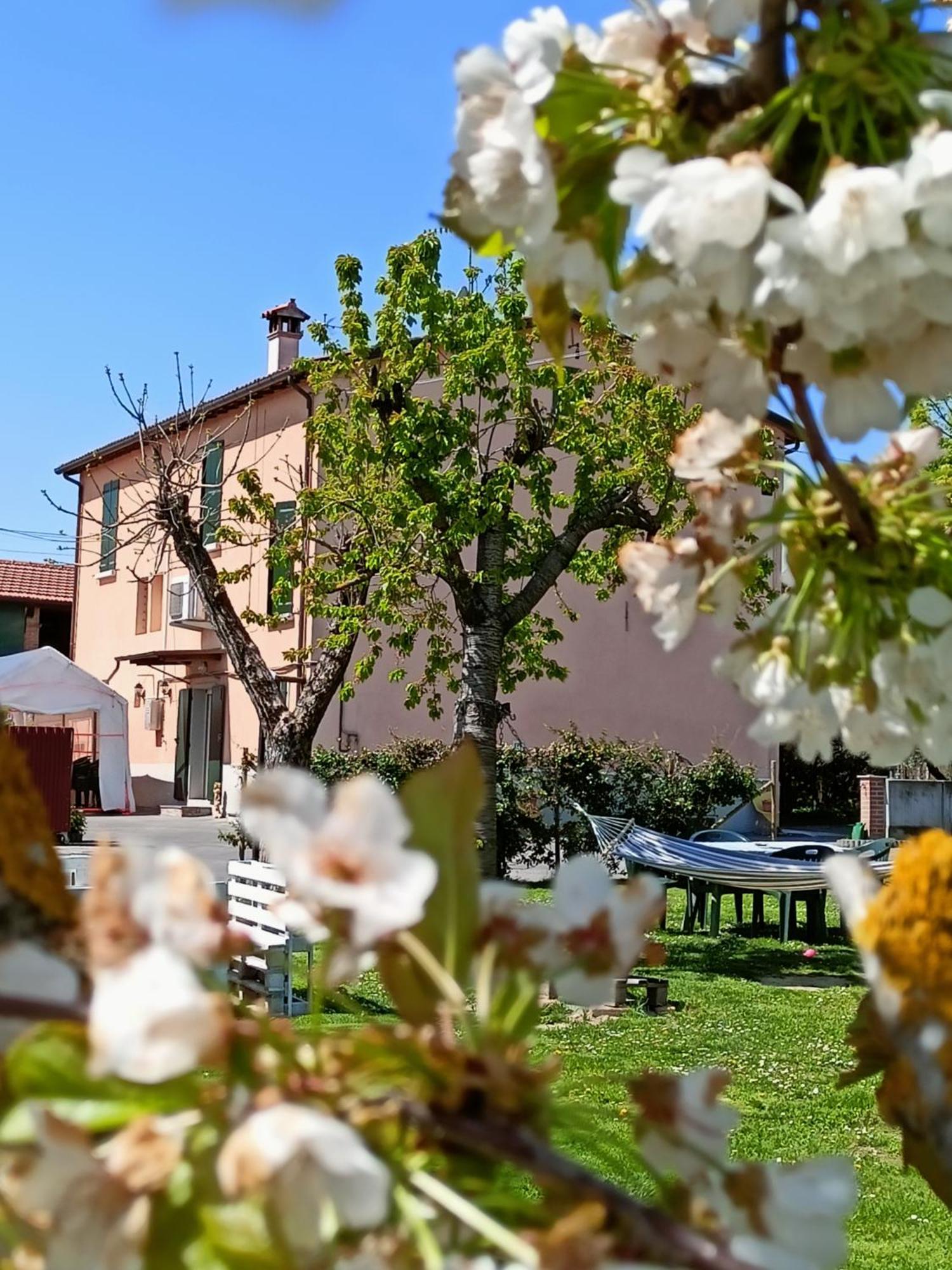 La Casa Della Nonna Bed & Breakfast Brisighella Eksteriør bilde